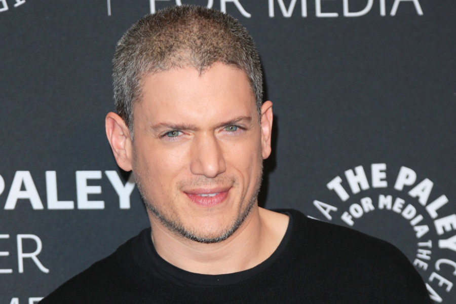 Who Is Wentworth Miller Wife Is Wentworth Miller Gay And Know About   Wentworth Miller Wife 